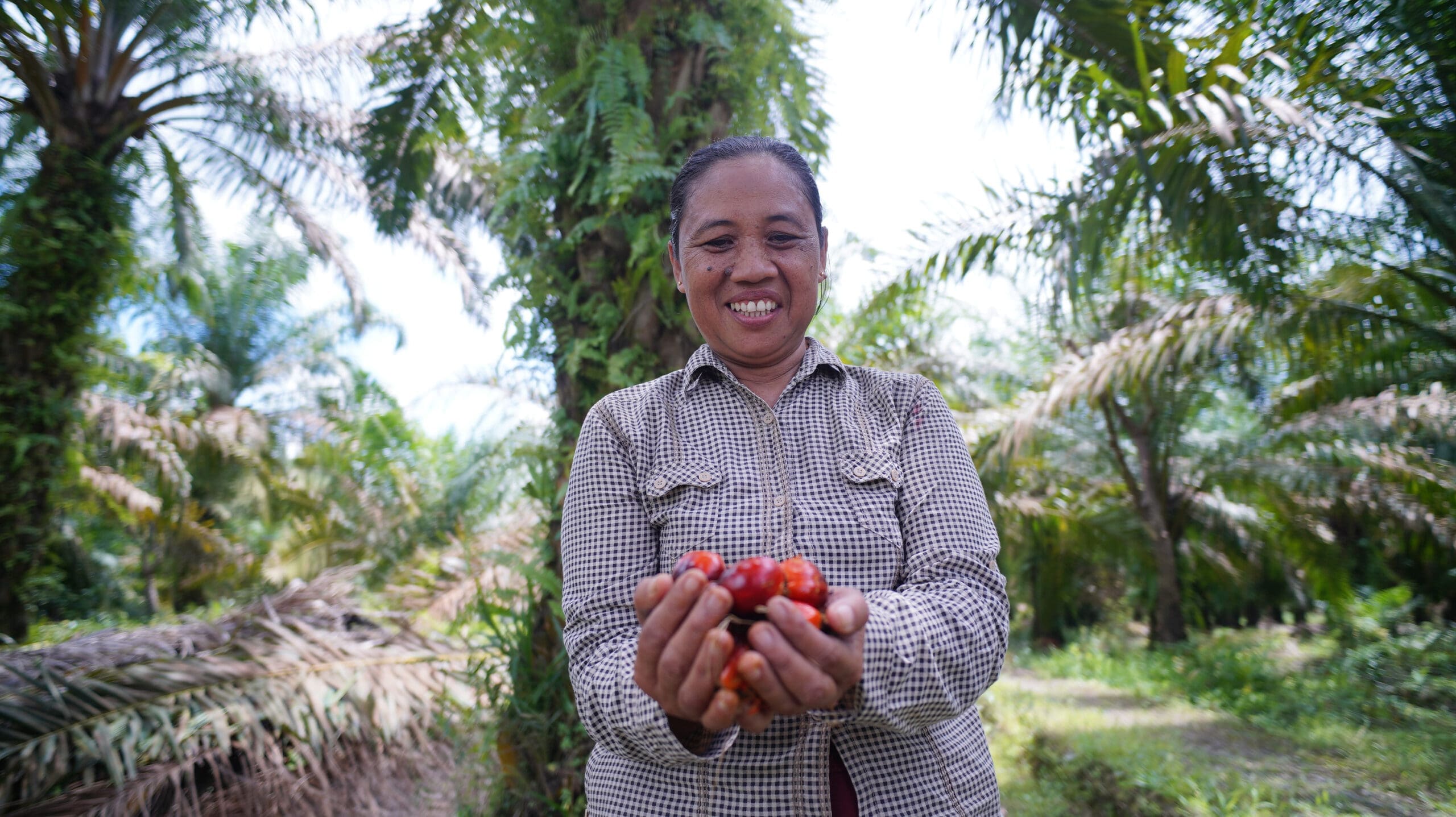 A woman smiling while holding freshly harvested palm oil fruit bunches in her hands at a palm oil plantation in South Sumatra. She stands surrounded by lush green palm trees under natural daylight, capturing a moment of pride, livelihood, and connection to sustainable agricultural work.
